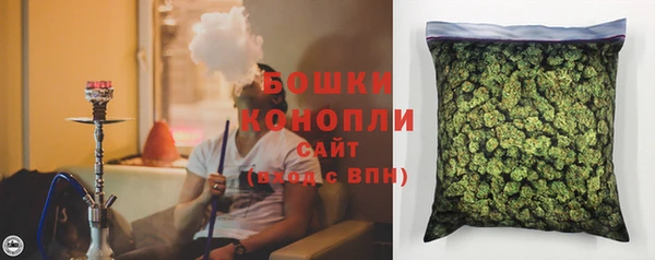 PSILOCYBIN Абдулино