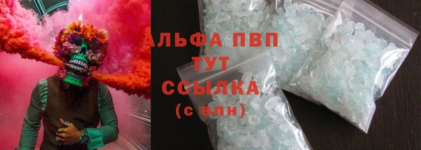 СК Алексин