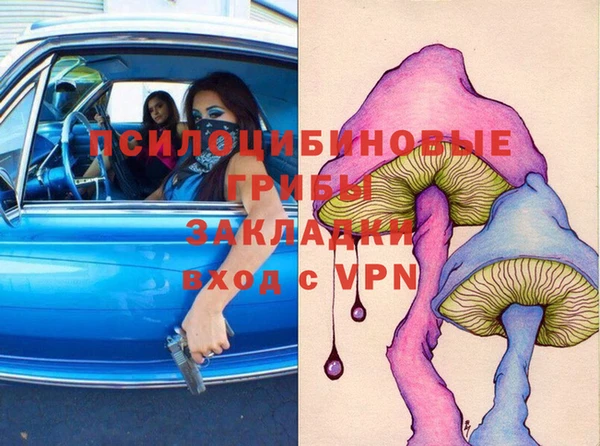 PSILOCYBIN Абдулино