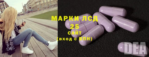 СК Алексин