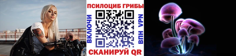 даркнет сайт  Красновишерск  Галлюциногенные грибы Psilocybe 